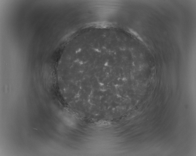 X0000082941446200702152201