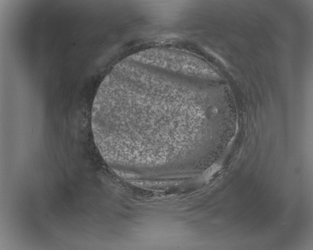 X0000082941447200702152201