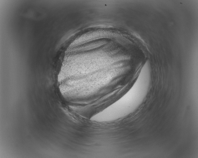 X0000082941448200702152201