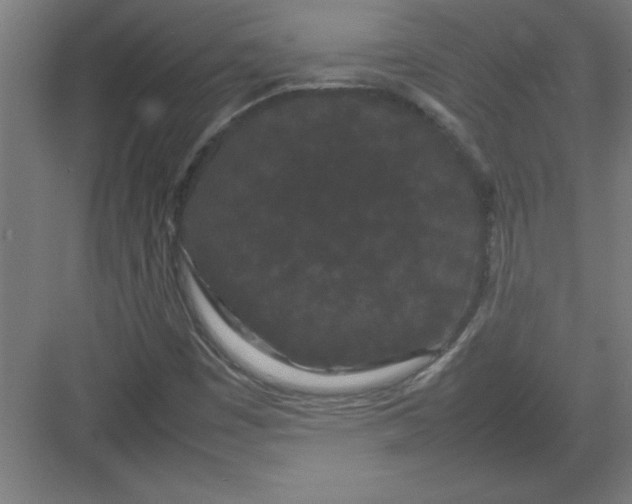 X0000082941449200702152201