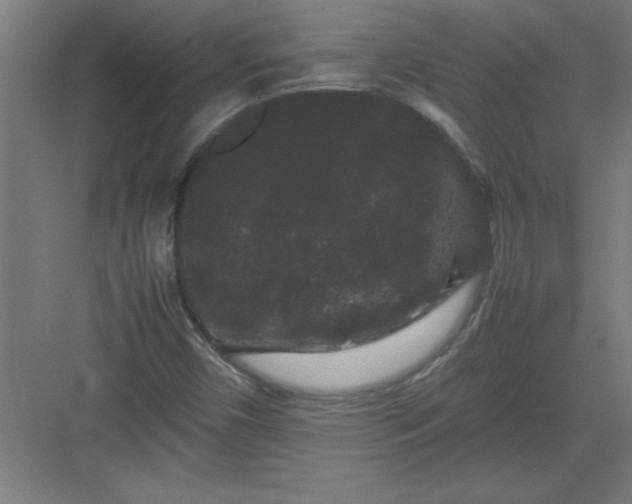 X0000082941450200702152201