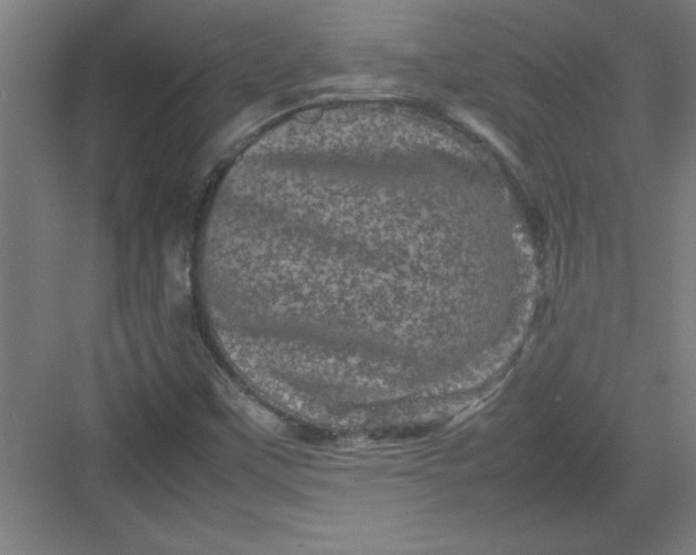 X0000082941451200702152201