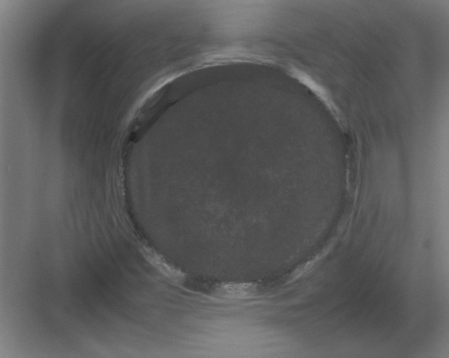 X0000082941453200702152201