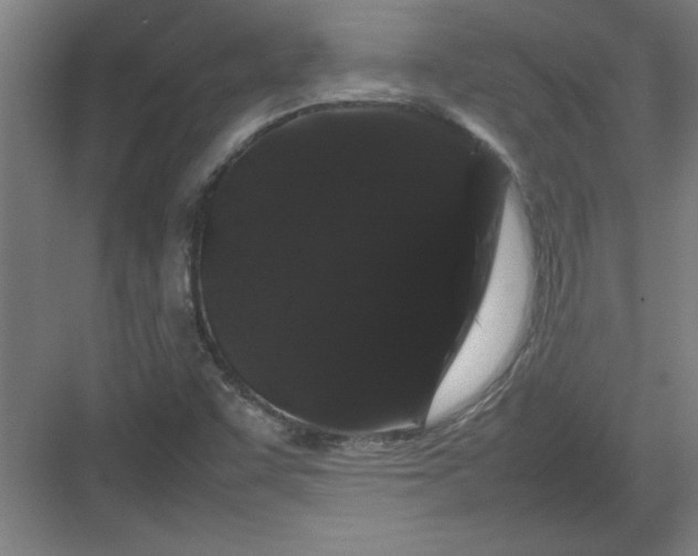 X0000082941455200702152201