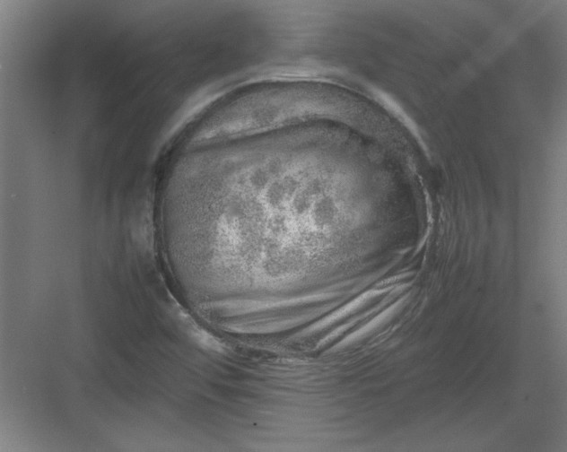 X0000082941456200702152201