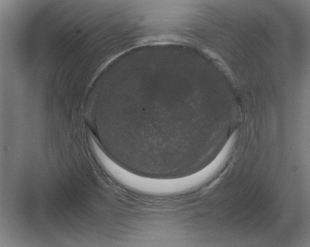 X0000082941457200702152201