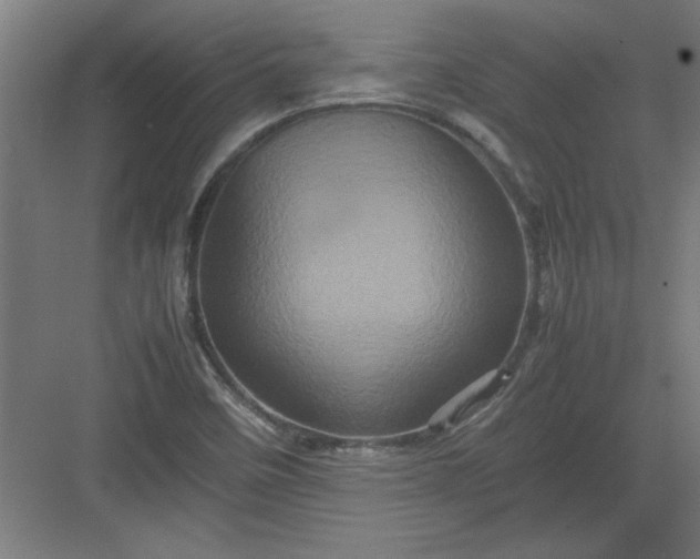 X0000082941458200702152201