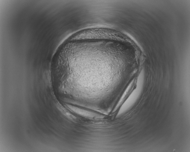 X0000082941460200702152201