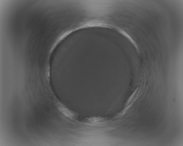 X0000082941461200702152201