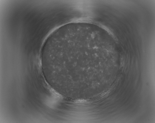 X0000082941462200702152201