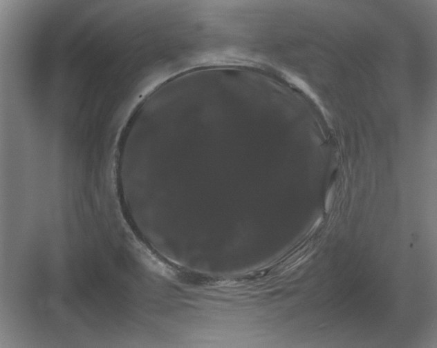 X0000082941463200702152201