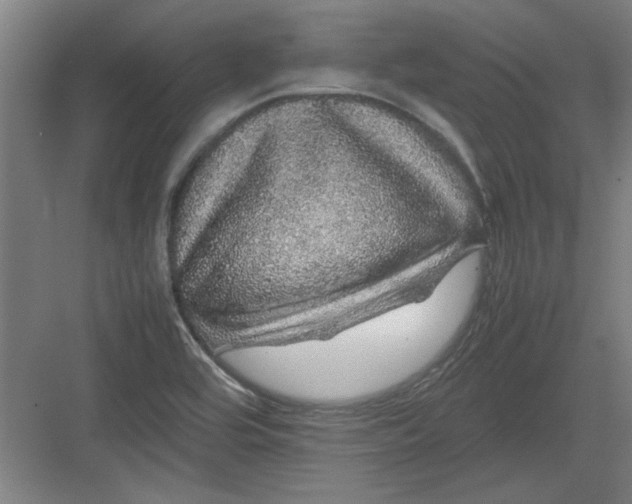 X0000082941464200702152201