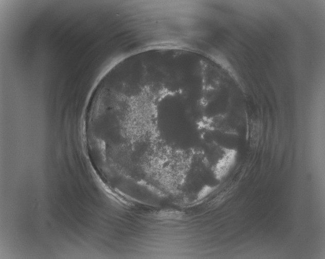 X0000082941466200702152201