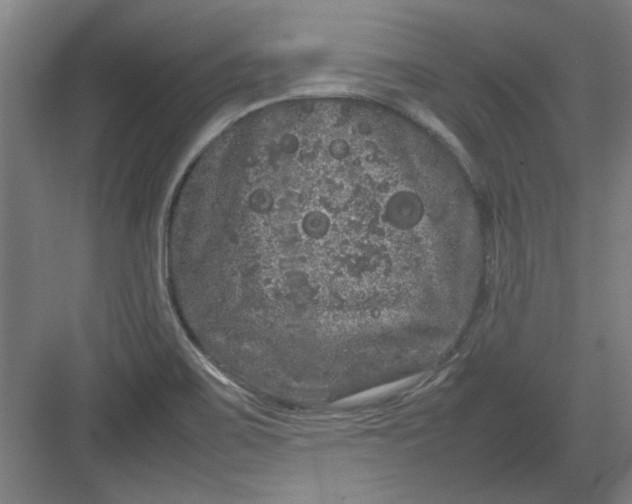 X0000082941467200702152201