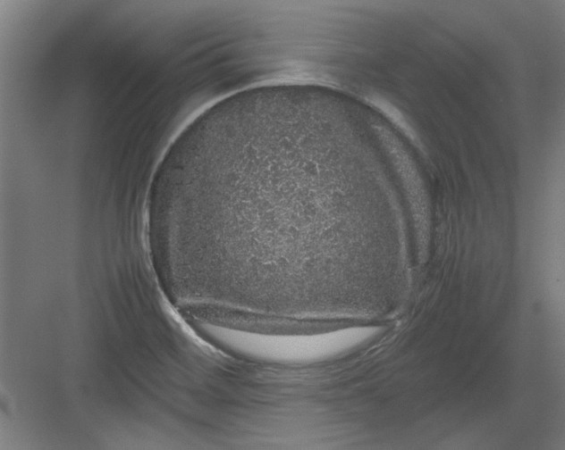 X0000082941468200702152201