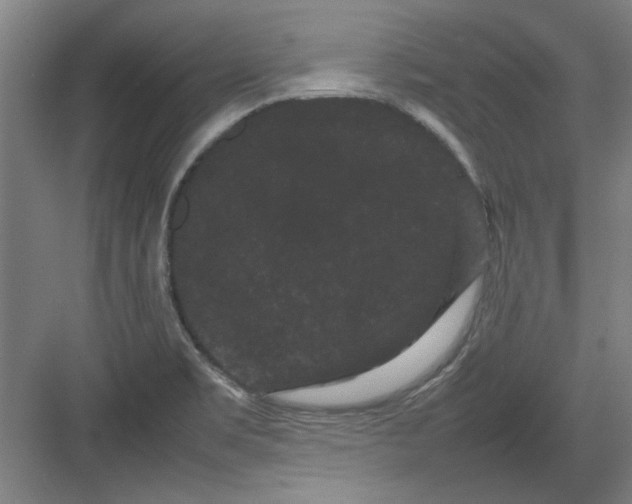 X0000082941469200702152201