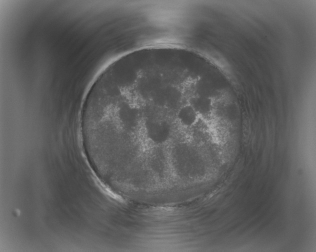 X0000082941470200702152201