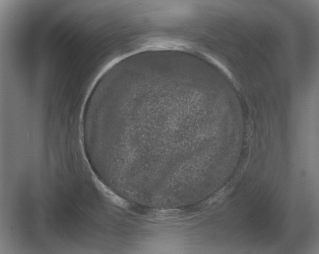 X0000082941471200702152201