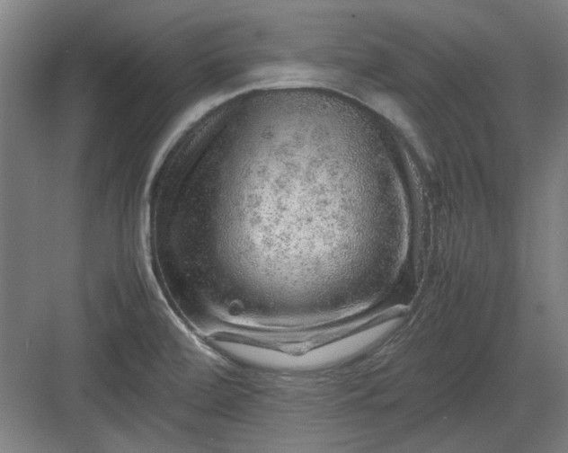 X0000082941472200702152201