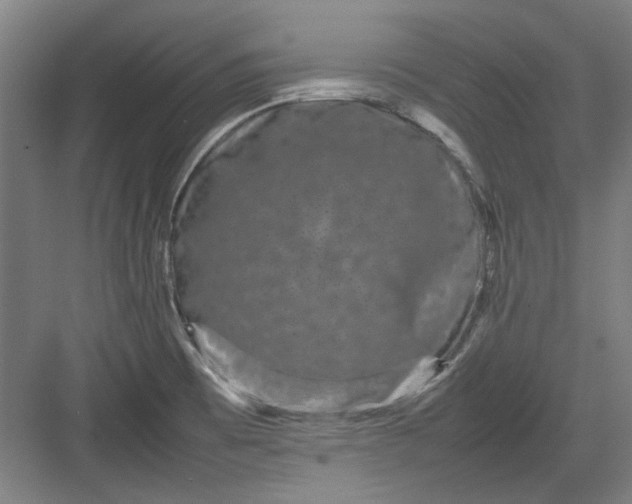 X0000082941473200702152201