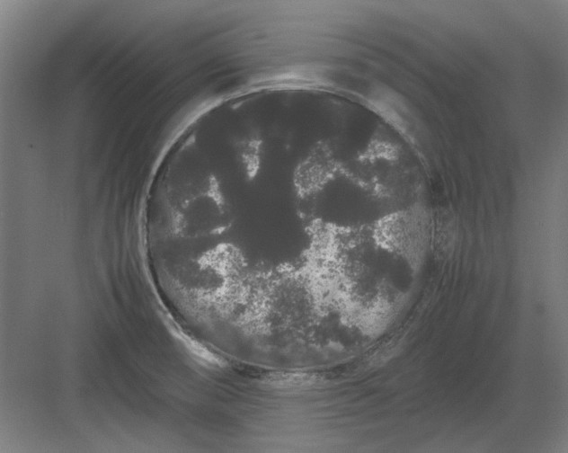 X0000082941474200702152201