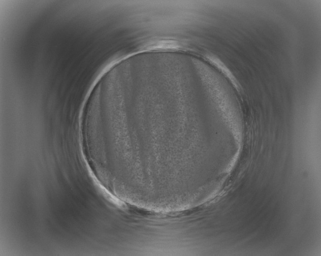 X0000082941475200702152201