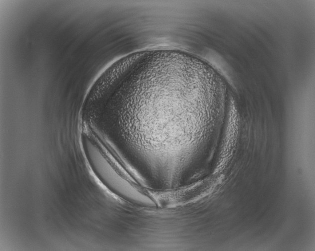 X0000082941476200702152201