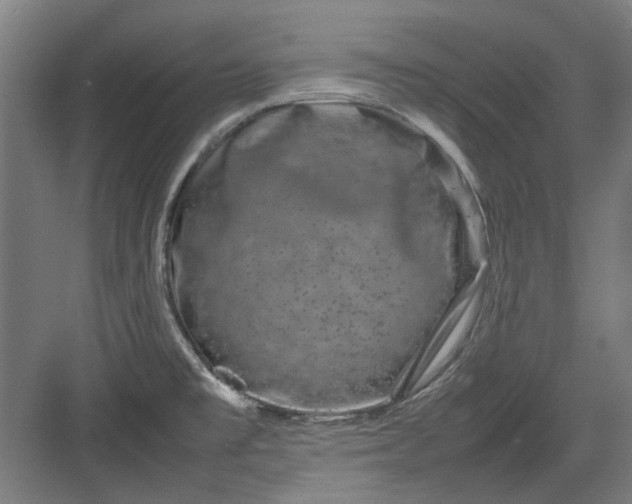 X0000082941477200702152201