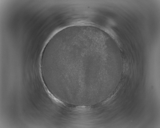 X0000082941478200702152201