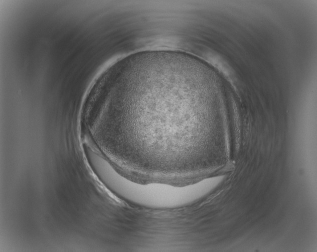 X0000082941480200702152201