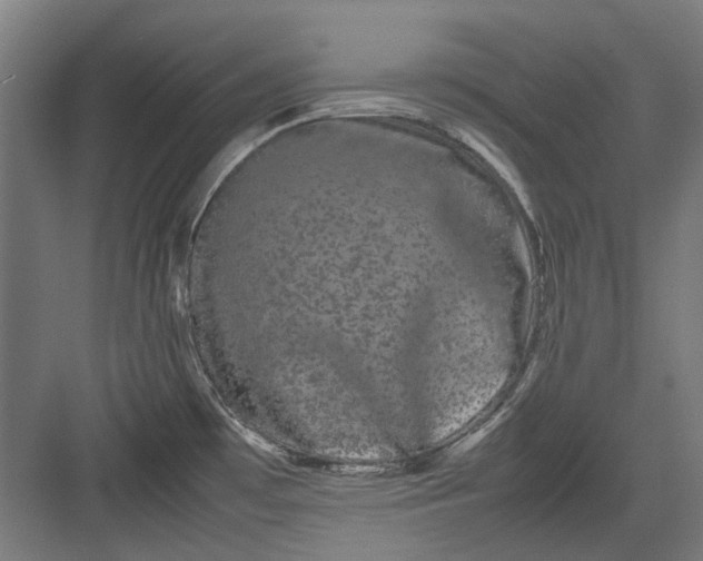 X0000082941481200702152201