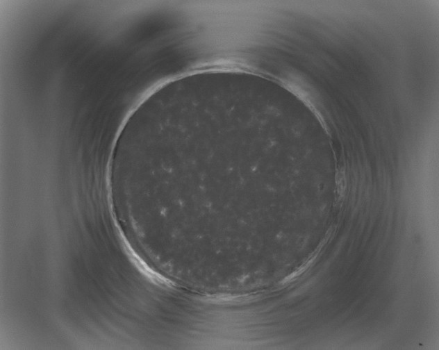 X0000082941482200702152201