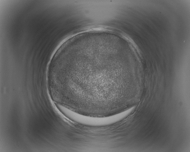 X0000082941483200702152201