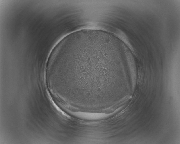 X0000082941484200702152201