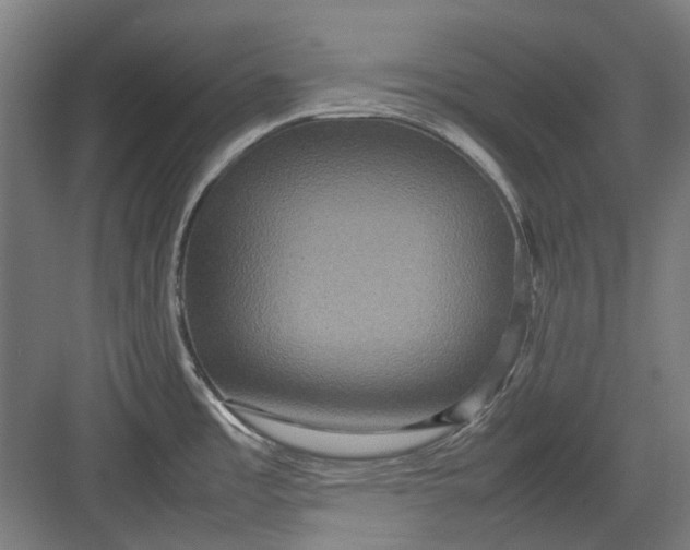 X0000082941485200702152201