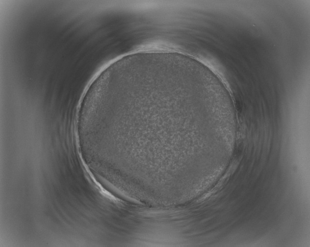 X0000082941486200702152201