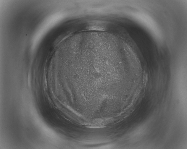 X0000082941487200702152201