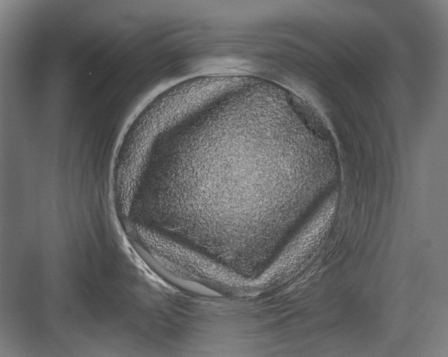 X0000082941488200702152201