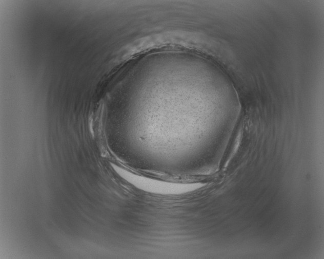 X0000082941490200702152200