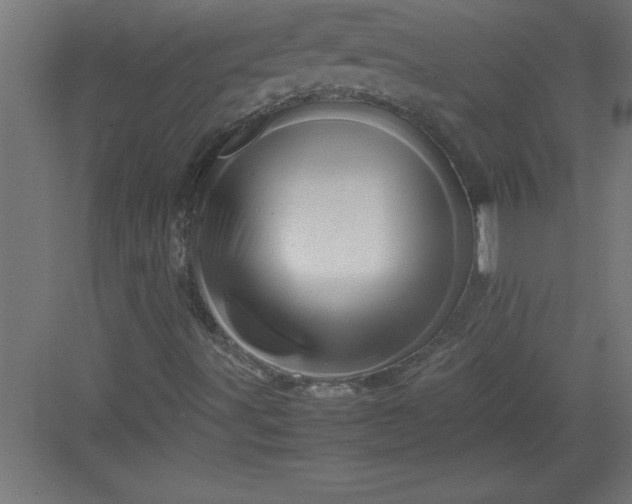 X0000082941491200702152200