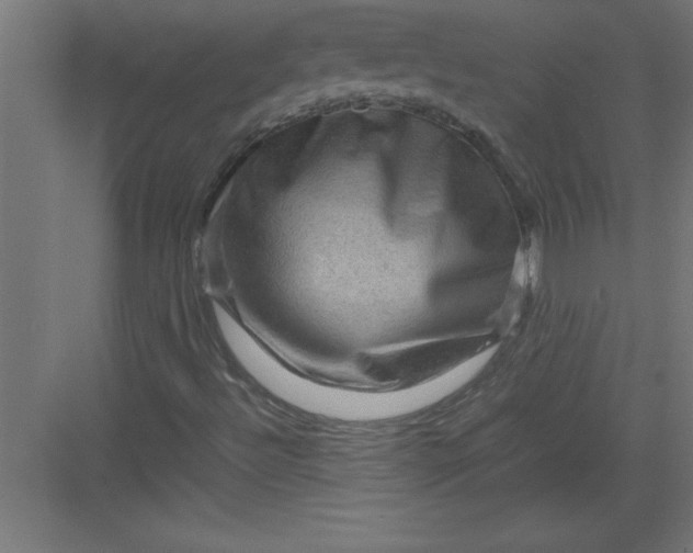 X0000082941492200702152200