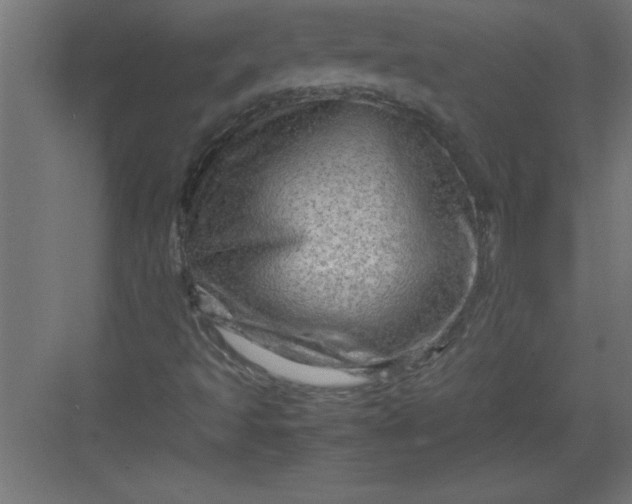 X0000082941493200702152200