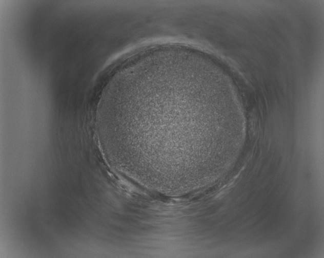 X0000082941494200702152200