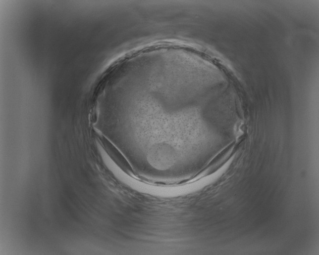 X0000082941496200702152200