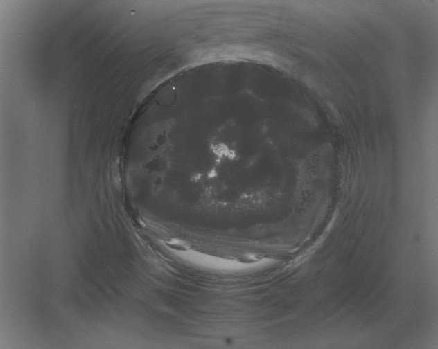 X0000082941497200702152200