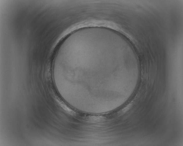 X0000082941498200702152200