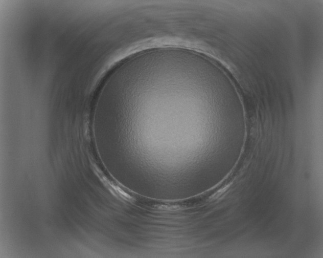 X0000082941499200702152200