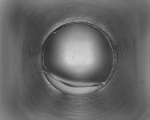 X0000082941500200702152200