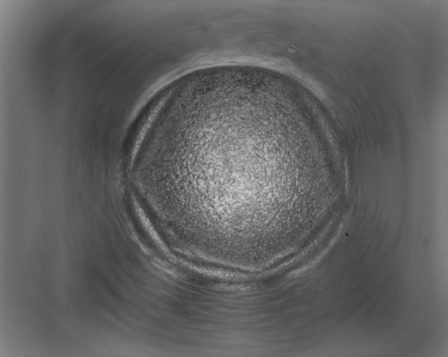 X0000082941501200702152200