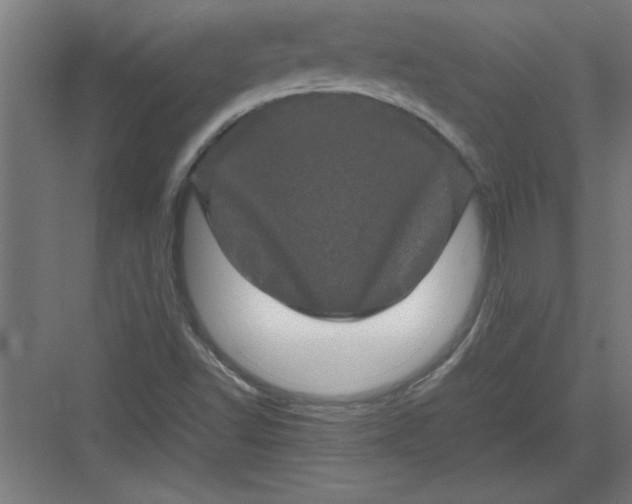 X0000082941502200702152200